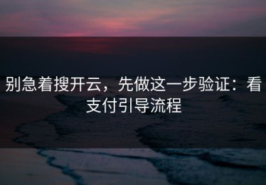 别急着搜开云，先做这一步验证：看支付引导流程