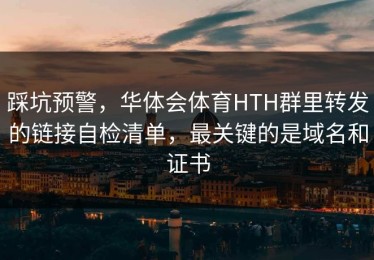 踩坑预警，华体会体育HTH群里转发的链接自检清单，最关键的是域名和证书