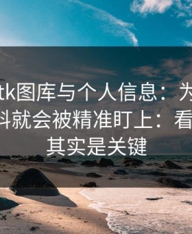 关于99tk图库与个人信息：为什么你一填资料就会被精准盯上：看似小事，其实是关键