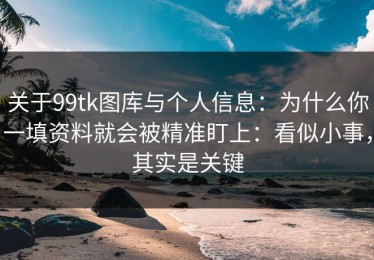 关于99tk图库与个人信息：为什么你一填资料就会被精准盯上：看似小事，其实是关键