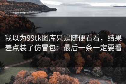 我以为99tk图库只是随便看看，结果差点装了仿冒包：最后一条一定要看