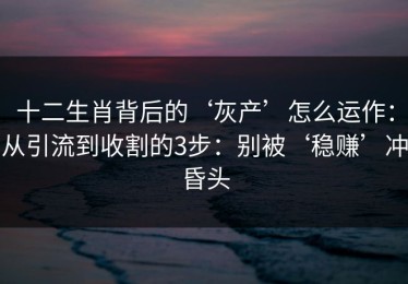 十二生肖背后的‘灰产’怎么运作：从引流到收割的3步：别被‘稳赚’冲昏头