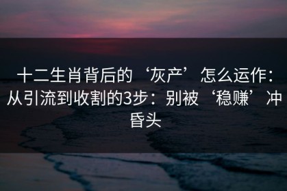 十二生肖背后的‘灰产’怎么运作：从引流到收割的3步：别被‘稳赚’冲昏头