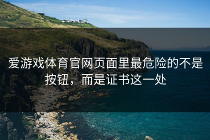爱游戏体育官网页面里最危险的不是按钮，而是证书这一处