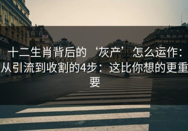 十二生肖背后的‘灰产’怎么运作：从引流到收割的4步：这比你想的更重要