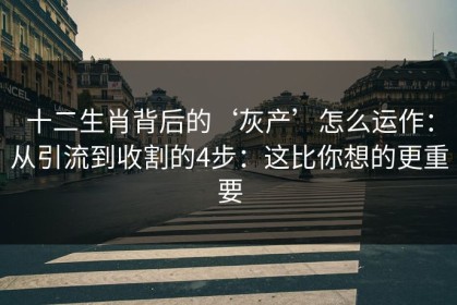 十二生肖背后的‘灰产’怎么运作：从引流到收割的4步：这比你想的更重要