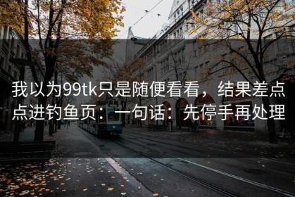 我以为99tk只是随便看看，结果差点点进钓鱼页：一句话：先停手再处理