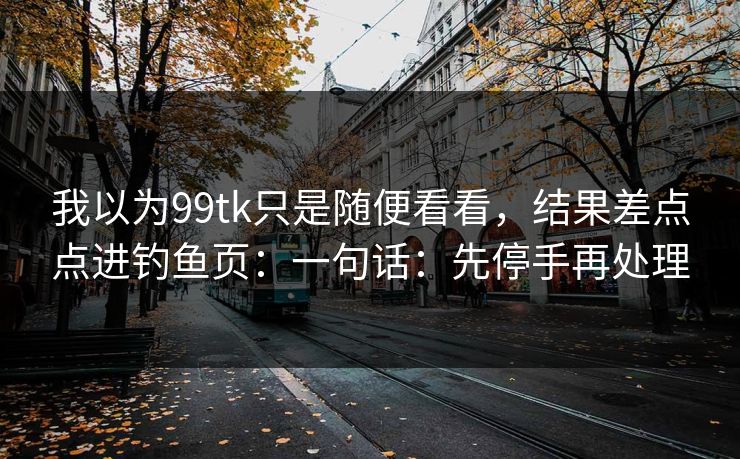 我以为99tk只是随便看看,结果差点点进钓鱼页:一句话:先停手再处理 我以为99tk只是随便看看,结果差点点进钓鱼页:一句话:先停手再处理