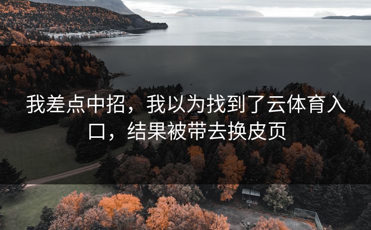 我差点中招，我以为找到了云体育入口，结果被带去换皮页
